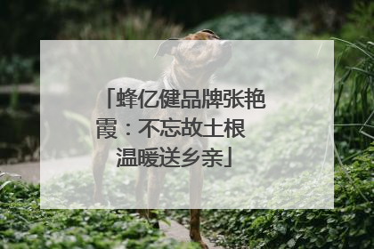 蜂亿健品牌张艳霞：不忘故土根 温暖送乡亲