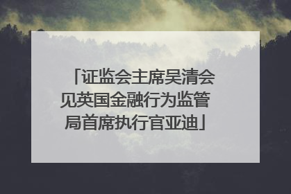 证监会主席吴清会见英国金融行为监管局首席执行官亚迪
