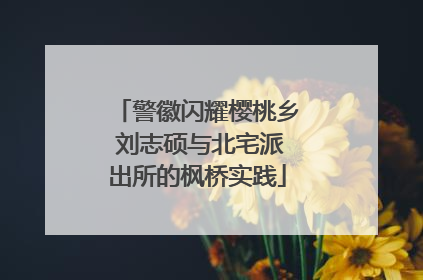 警徽闪耀樱桃乡 刘志硕与北宅派出所的枫桥实践
