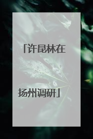 许昆林在扬州调研