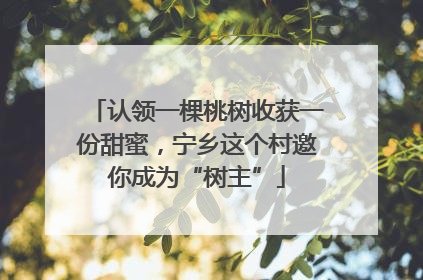 认领一棵桃树收获一份甜蜜，宁乡这个村邀你成为“树主”