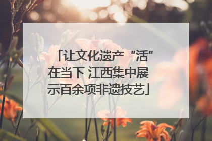 让文化遗产“活”在当下 江西集中展示百余项非遗技艺