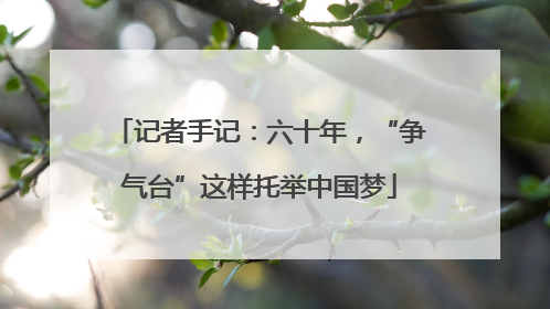 记者手记：六十年，“争气台”这样托举中国梦