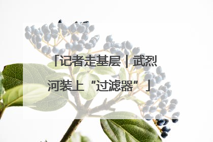 记者走基层｜武烈河装上“过滤器”