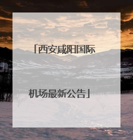 西安咸阳国际机场最新公告