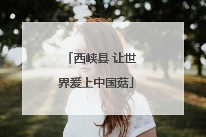 西峡县 让世界爱上中国菇