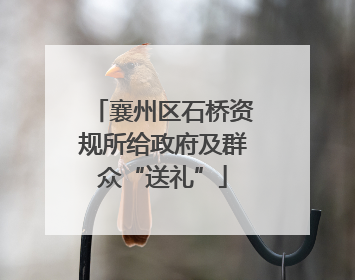 襄州区石桥资规所给政府及群众“送礼”