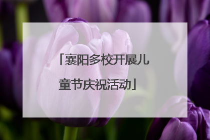 襄阳多校开展儿童节庆祝活动
