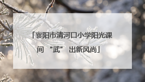 襄阳市清河口小学阳光课间 “武” 出新风尚