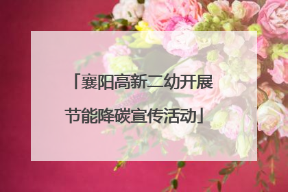 襄阳高新二幼开展节能降碳宣传活动