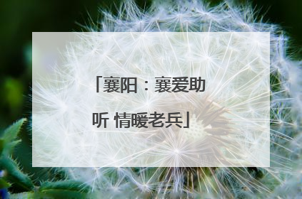 襄阳：襄爱助听 情暖老兵