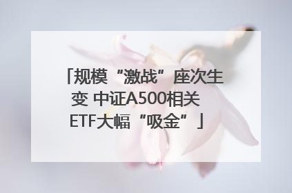 规模“激战”座次生变 中证A500相关ETF大幅“吸金”