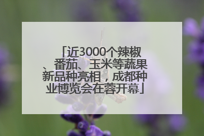 近3000个辣椒、番茄、玉米等蔬果新品种亮相，成都种业博览会在蓉开幕