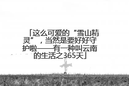 这么可爱的“雪山精灵”，当然是要好好守护啦——有一种叫云南的生活之365天