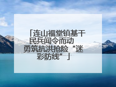 连山福堂镇基干民兵闻令而动  勇筑抗洪抢险“迷彩防线”