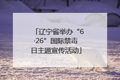 辽宁省举办“6·26”国际禁毒日主题宣传活动