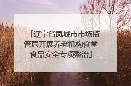 辽宁省凤城市市场监管局开展养老机构食堂食品安全专项整治