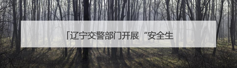 辽宁交警部门开展“安全生产月”系列主题宣传活动