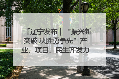 辽宁发布｜“振兴新突破 决胜勇争先”产业、项目、民生齐发力 葫芦岛按下决胜之年“加速键”