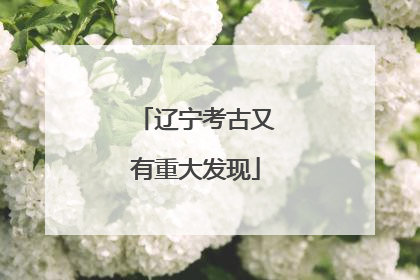 辽宁考古又有重大发现