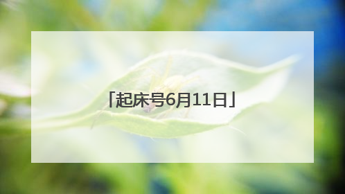 起床号6月11日