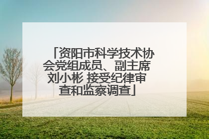资阳市科学技术协会党组成员、副主席刘小彬 接受纪律审查和监察调查