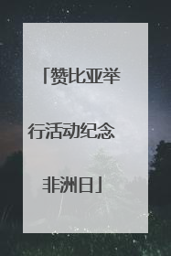 赞比亚举行活动纪念非洲日