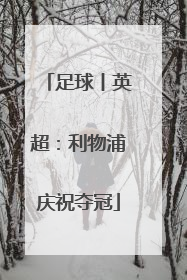 足球丨英超：利物浦庆祝夺冠