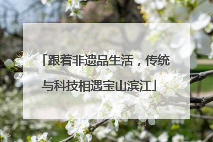 跟着非遗品生活，传统与科技相遇宝山滨江
