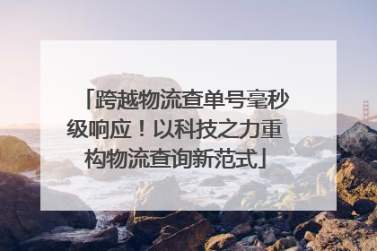 跨越物流查单号毫秒级响应！以科技之力重构物流查询新范式