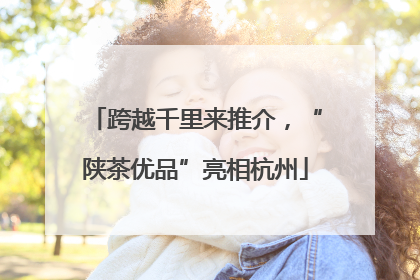 跨越千里来推介，“陕茶优品”亮相杭州