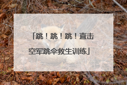 跳！跳！跳！直击空军跳伞救生训练