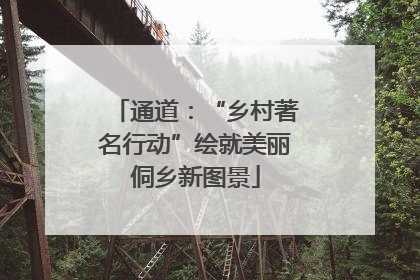 通道:“乡村著名行动”绘就美丽侗乡新图景
