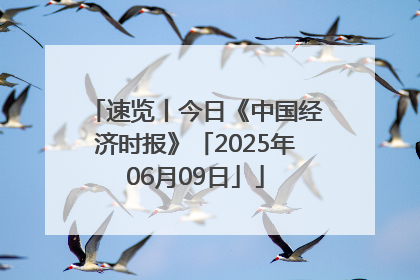 速览丨今日《中国经济时报》「2025年06月09日」