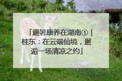 避暑康养在湖南①｜桂东：在云端仙境，邂逅一场清凉之约