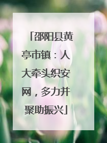邵阳县黄亭市镇：人大牵头织安网，多力并聚助振兴