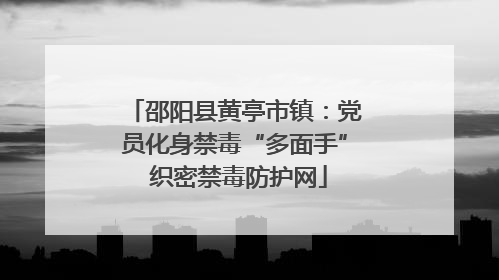 邵阳县黄亭市镇：党员化身禁毒“多面手” 织密禁毒防护网