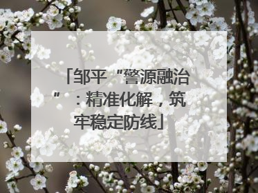 邹平“警源融治”：精准化解，筑牢稳定防线