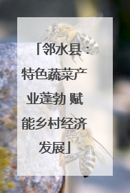 邻水县：特色蔬菜产业蓬勃 赋能乡村经济发展