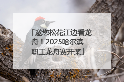 邀您松花江边看龙舟！2025哈尔滨职工龙舟赛开桨
