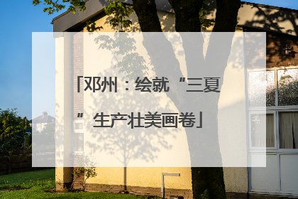 邓州：绘就“三夏”生产壮美画卷