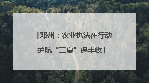 邓州：农业执法在行动 护航“三夏”保丰收