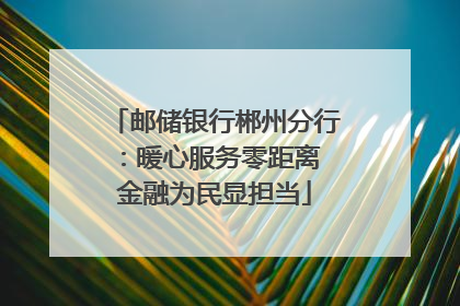 邮储银行郴州分行：暖心服务零距离 金融为民显担当