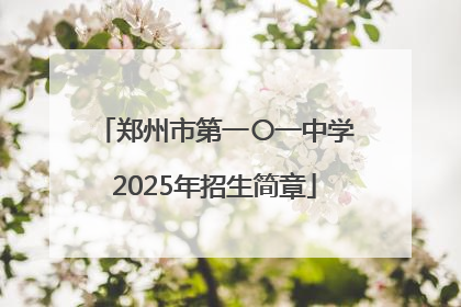 郑州市第一〇一中学2025年招生简章