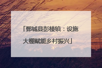 鄄城县彭楼镇：设施大棚赋能乡村振兴