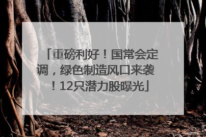 重磅利好！国常会定调，绿色制造风口来袭！12只潜力股曝光