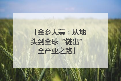 金乡大蒜：从地头到全球“链出”全产业之路
