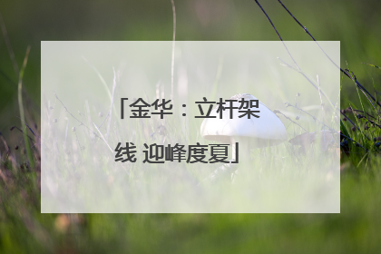 金华：立杆架线 迎峰度夏