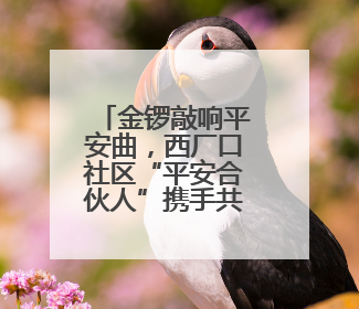 金锣敲响平安曲，西厂口社区“平安合伙人”携手共筑幸福家