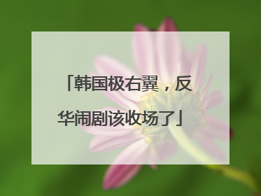 韩国极右翼，反华闹剧该收场了